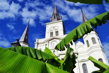 800_10101779688716390_601144474_n