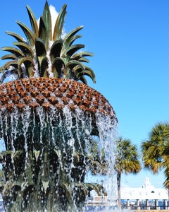 Pineapple Fountain Color