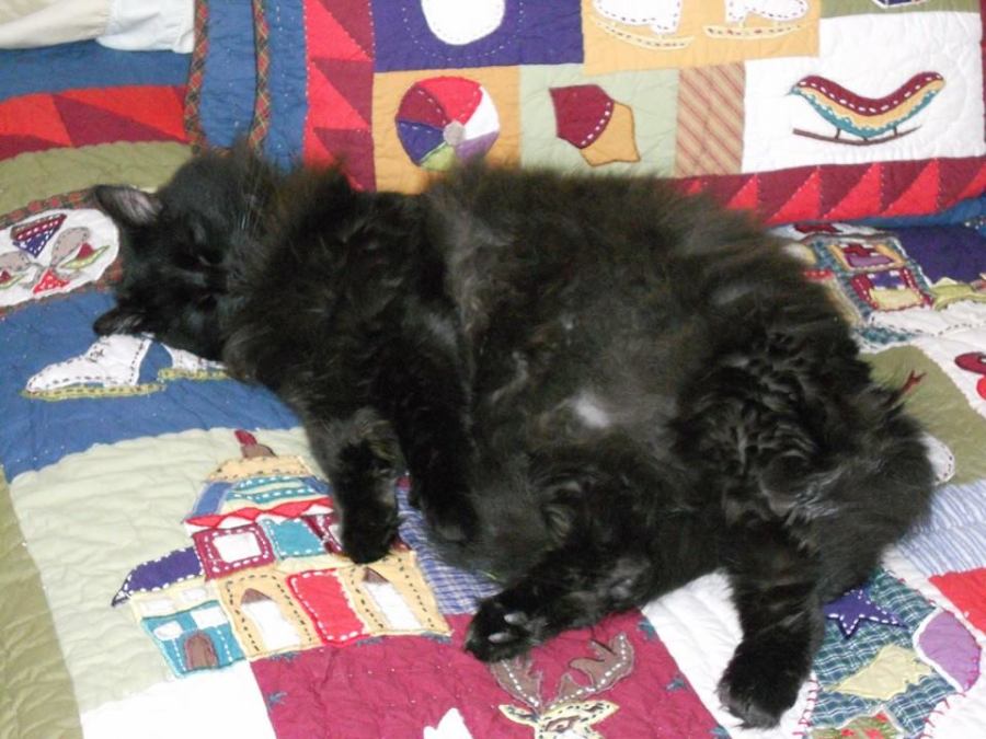 10368485_10103244991762340_6456862006135819808_n